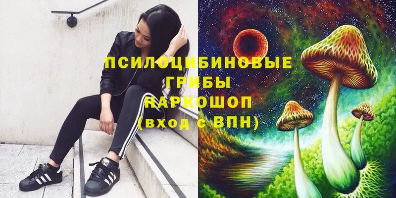 Псилоцибиновые грибы Magic Shrooms  Жуков 